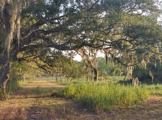 4261 County Road 506, Brazoria, TX 77422