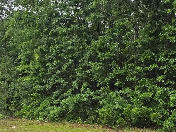 5750 S Coastal Hwy, Riceboro, GA 31323
