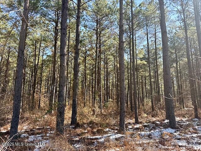 1st image of Cook Wallace Rd