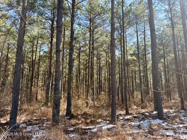 Cook Wallace Rd, Bastrop, LA 71220