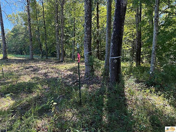 3rd image of 810 Clear Springs Rd