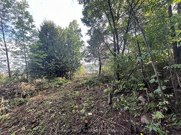 5th image of 33 3rd St E
