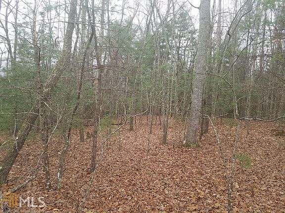 4th image of Tract E Lilac Ln