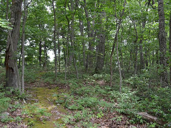 5th image of 2720 Homeplace Dr