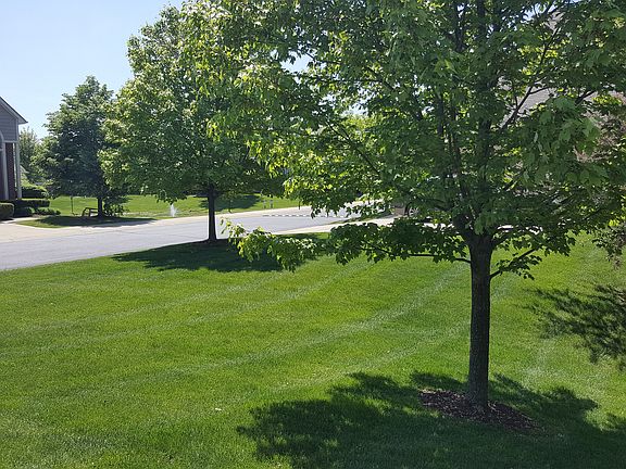 4th image of 29478 Juneau Ln