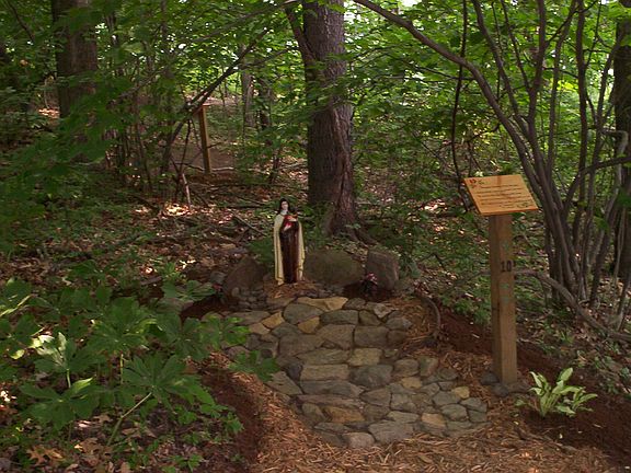 Wooded path
