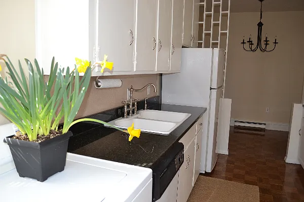 2 bed, 900 sqft, $1,250 — Photo 3