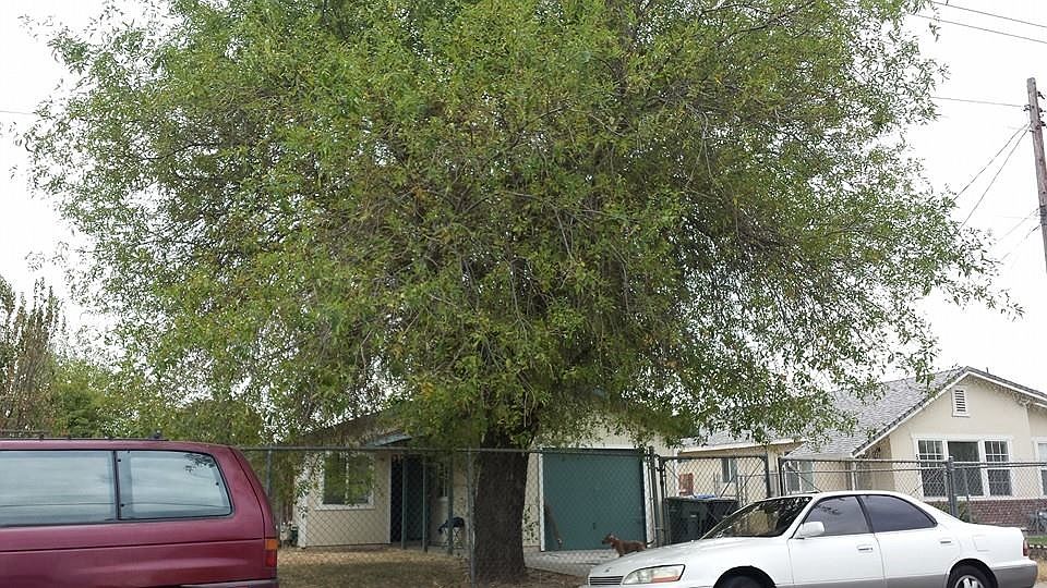 2nd image of 508 Harris Ave