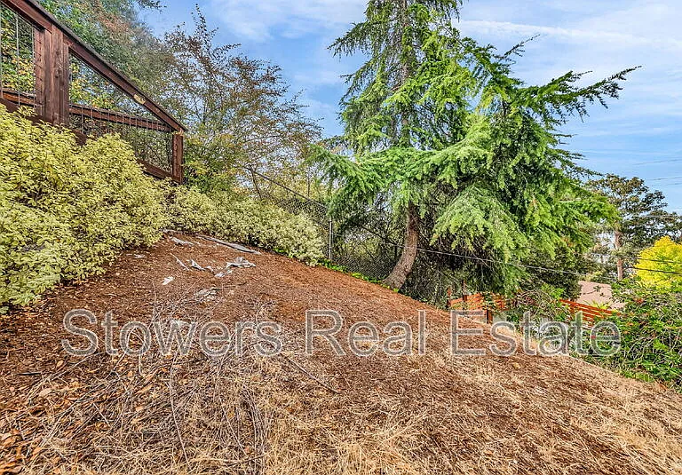 25551 Maitland Dr — Photo 37