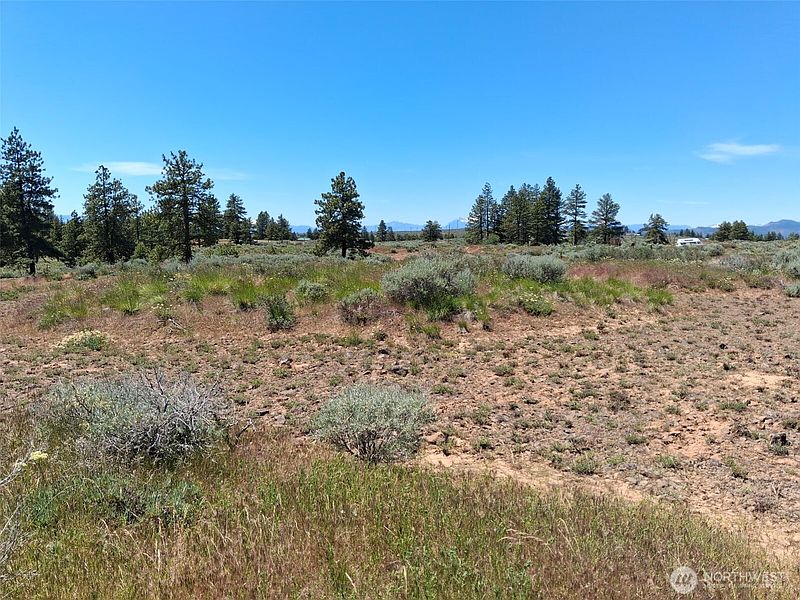 3rd image of 113 Falcon Ridge Road