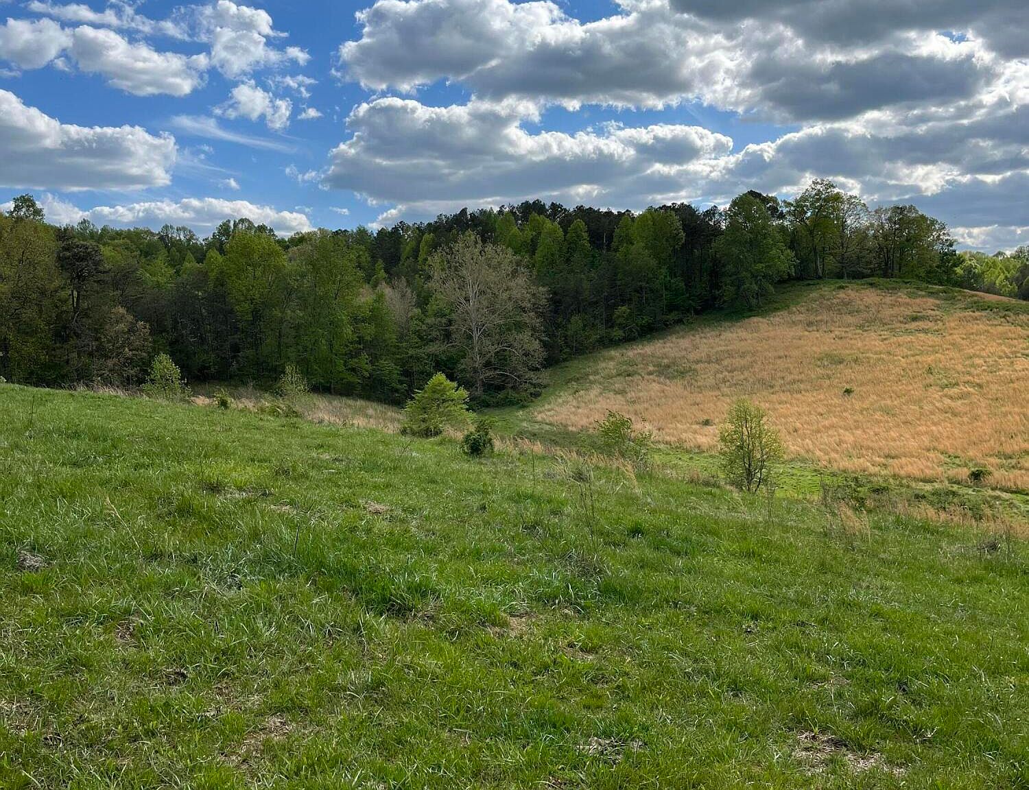 9992 Castle Hill Rd, East Bernstadt, KY 40729 MLS 23007992 Zillow