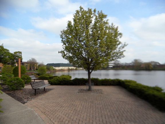 4th image of 6119 Knollwood Dr #103
