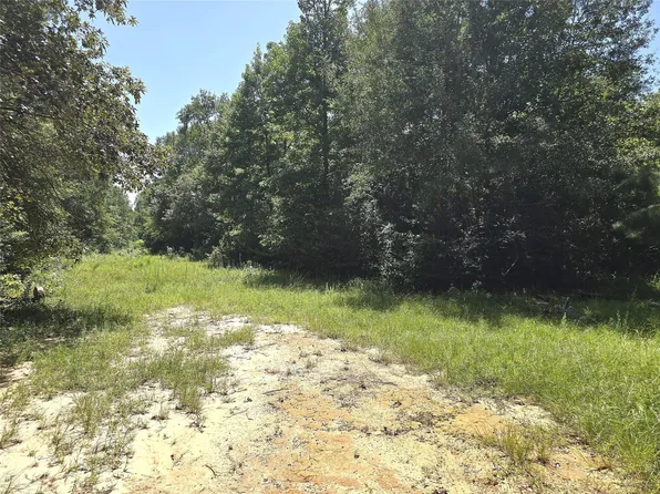 1031 Plantation Dr, Livingston, TX 77351