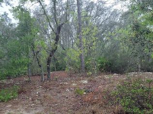 10030 N Bye Poin #54, Dunnellon, FL 34433