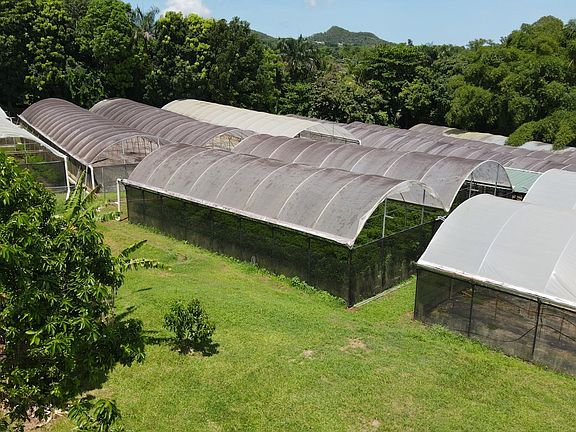 5th image of 137 Km 9.9 Bo Franquez La Alianza