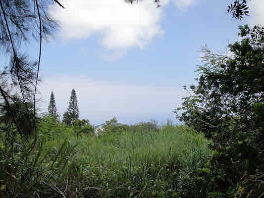 1st image of 76-823 Hualalai Rd Lot 2