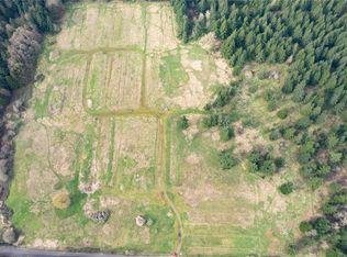 189 Woodard Rd, Napavine, WA 98532