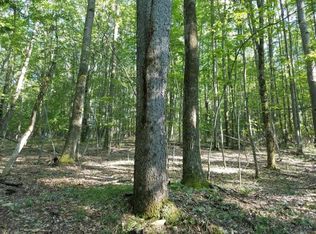 0 Dyke Rd, Beaver Dams, NY 14812