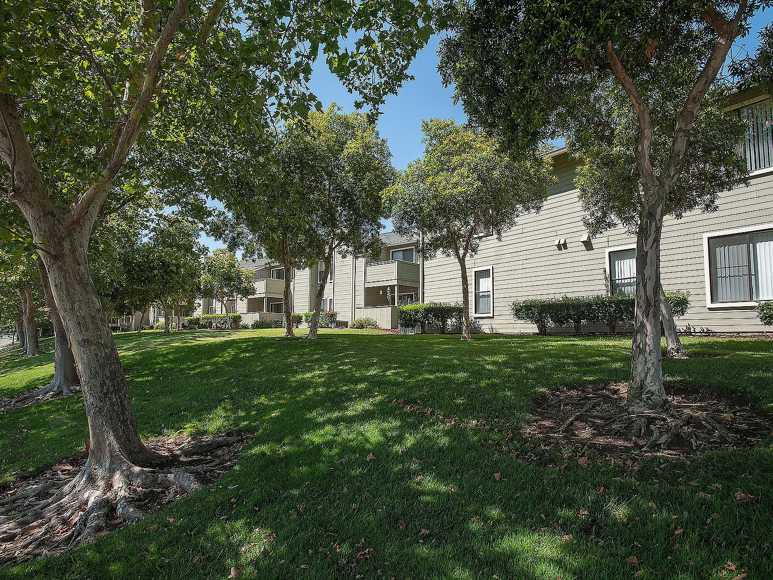 Sandpiper Village — Photo 3