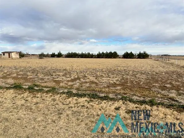0 S Roosevelt Rd S #6, Portales, NM 88130