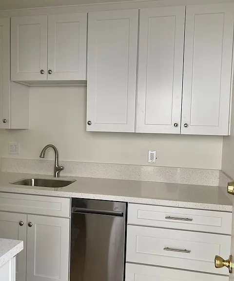New stainless steel sink and facuet. All cabinets are new as well as the dishwasher.