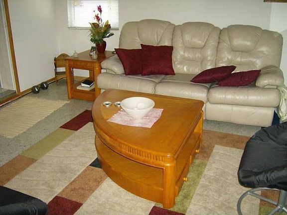 bonus room/den