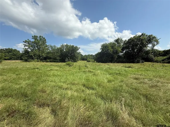 11591-2 Farm Road 269 S, Pickton, TX 75471
