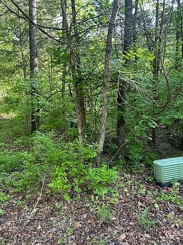 2nd image of LOT 3 Timberline Dr