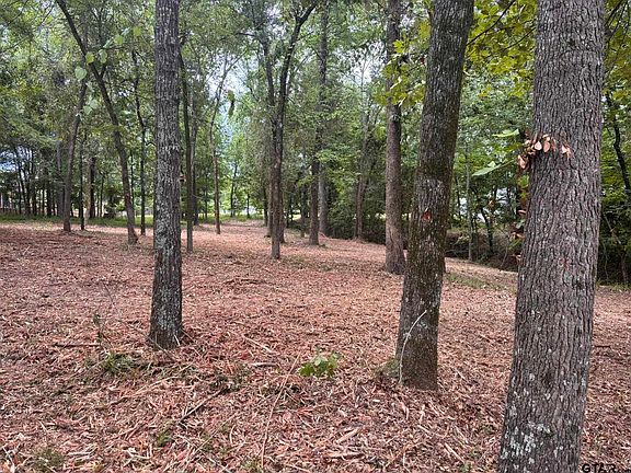4th image of County Road 1503