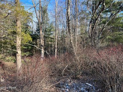 Cherry Ct, Matamoras, PA, 18336