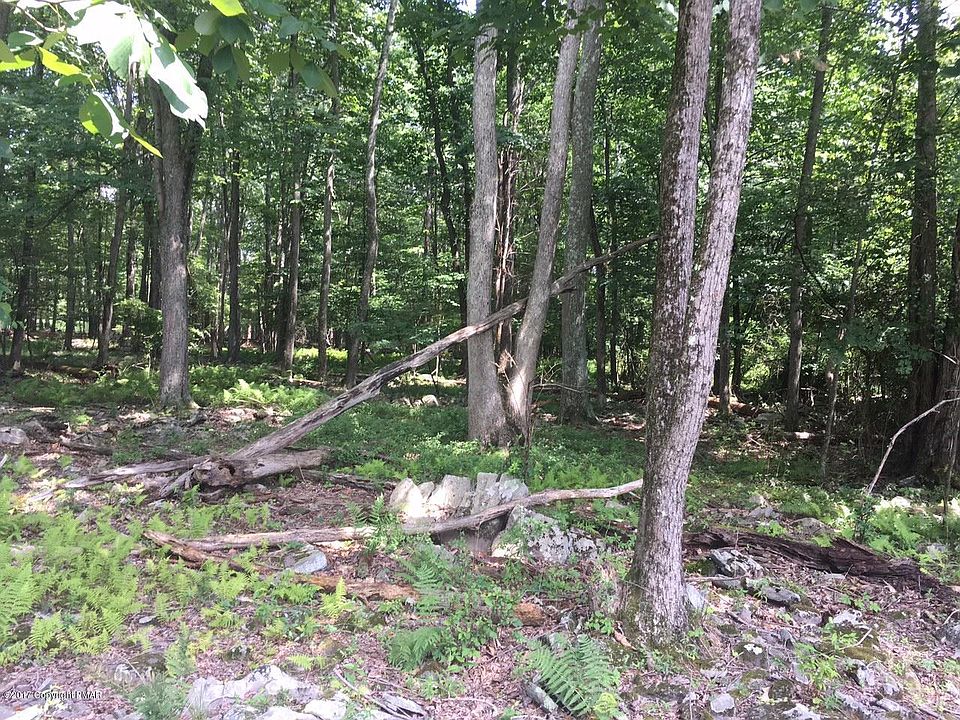 1st image of Cherry Ln #5