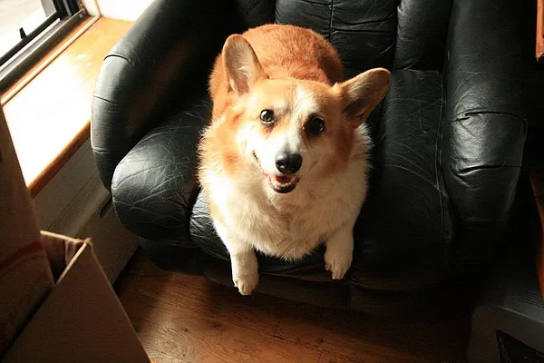 Rented by R New York | media 46