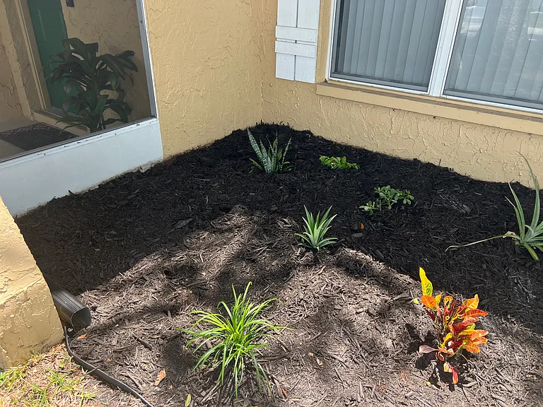 Well-maintained front yard with attractive landscaping and great curb appeal.
