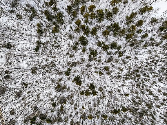 4th image of 0 Cole Benson Road