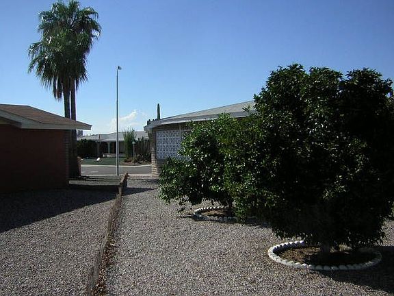 Side yard w/ orange trees