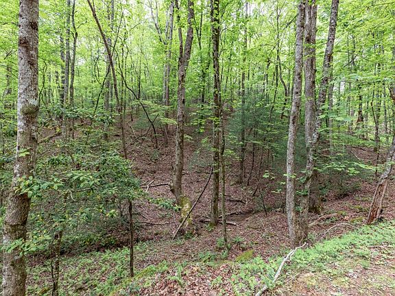 5th image of 17 Lower Gap Rd