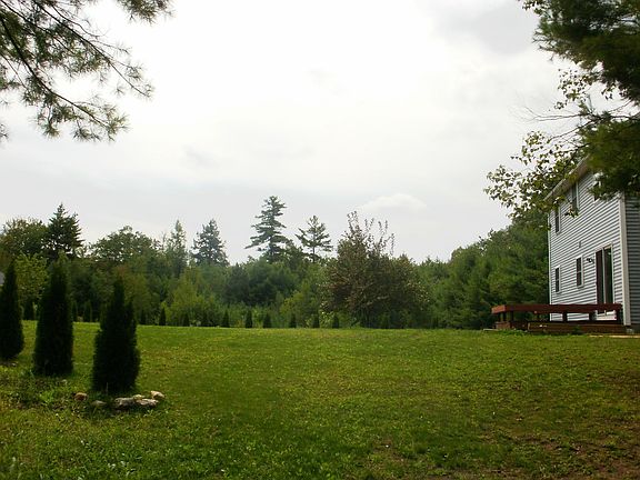 Large backyard w/ 45 evergeens as a  boarder