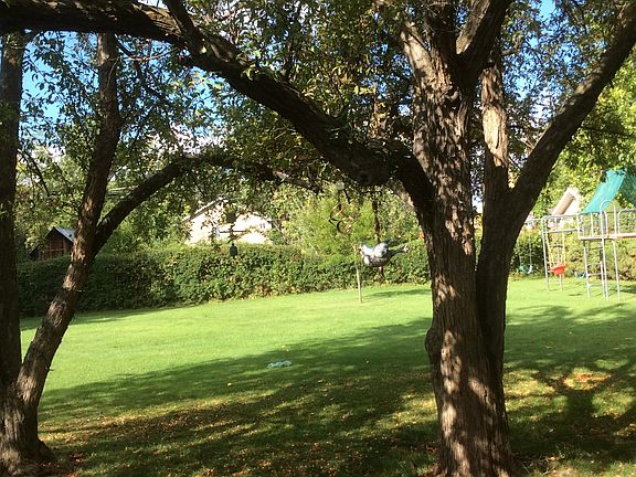View from carport