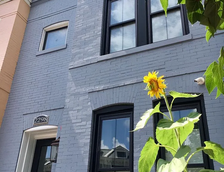 2298 Champlain St NW #B — Photo 1