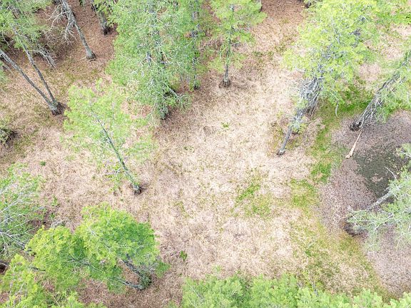 4th image of 1285 SE Koon Lake Rd