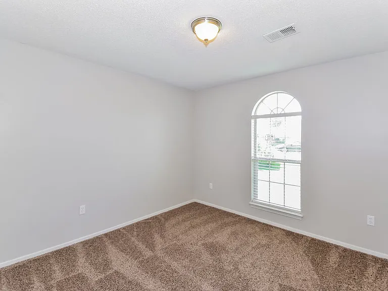 10368 Palmer Cv — Photo 13