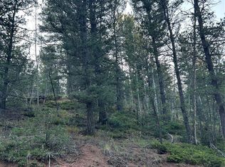 83 Sodalite Rd LOT 42, Divide, CO 80814
