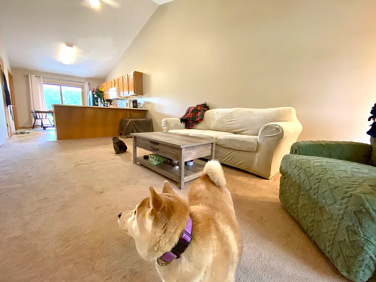 4045 Ballard Cir — Photo 4