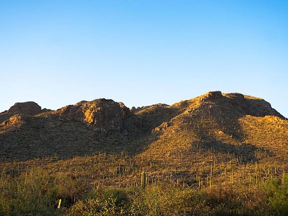 5th image of 2118 E Desert Garden Dr