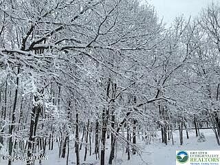 5th image of 407 Sassfras Rd