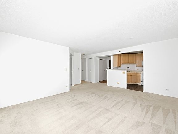 4th image of 195 N Harbor Dr APT 2307