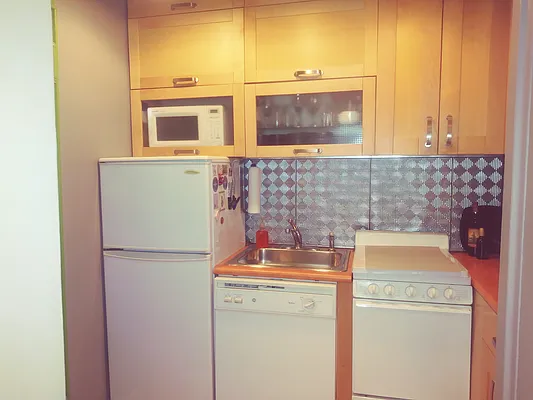 Rented by Manhattan Flats | media 13