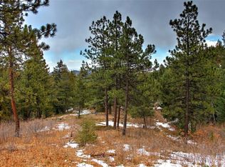 19971 Cypress Dr, Morrison, CO 80465