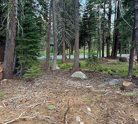 5th image of Quaking Aspen Rd