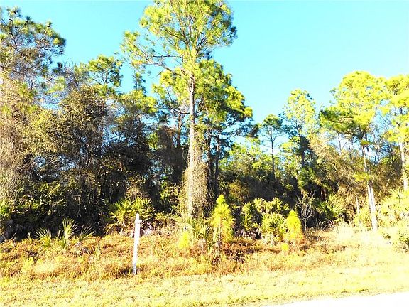 5th image of Beatty Ave Lot 14
